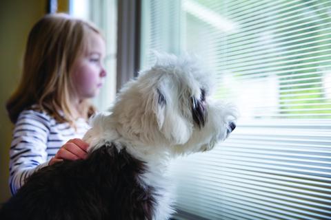 blink BLINDS + GLASS