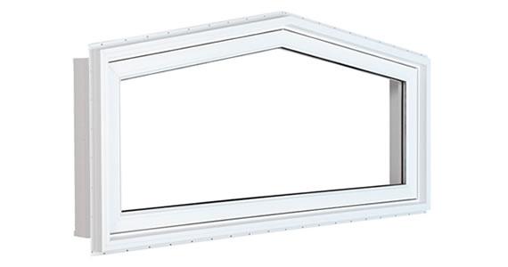 Specialty Window
